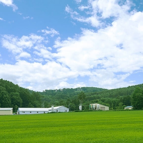 下川六〇酵素卵（45個入り）