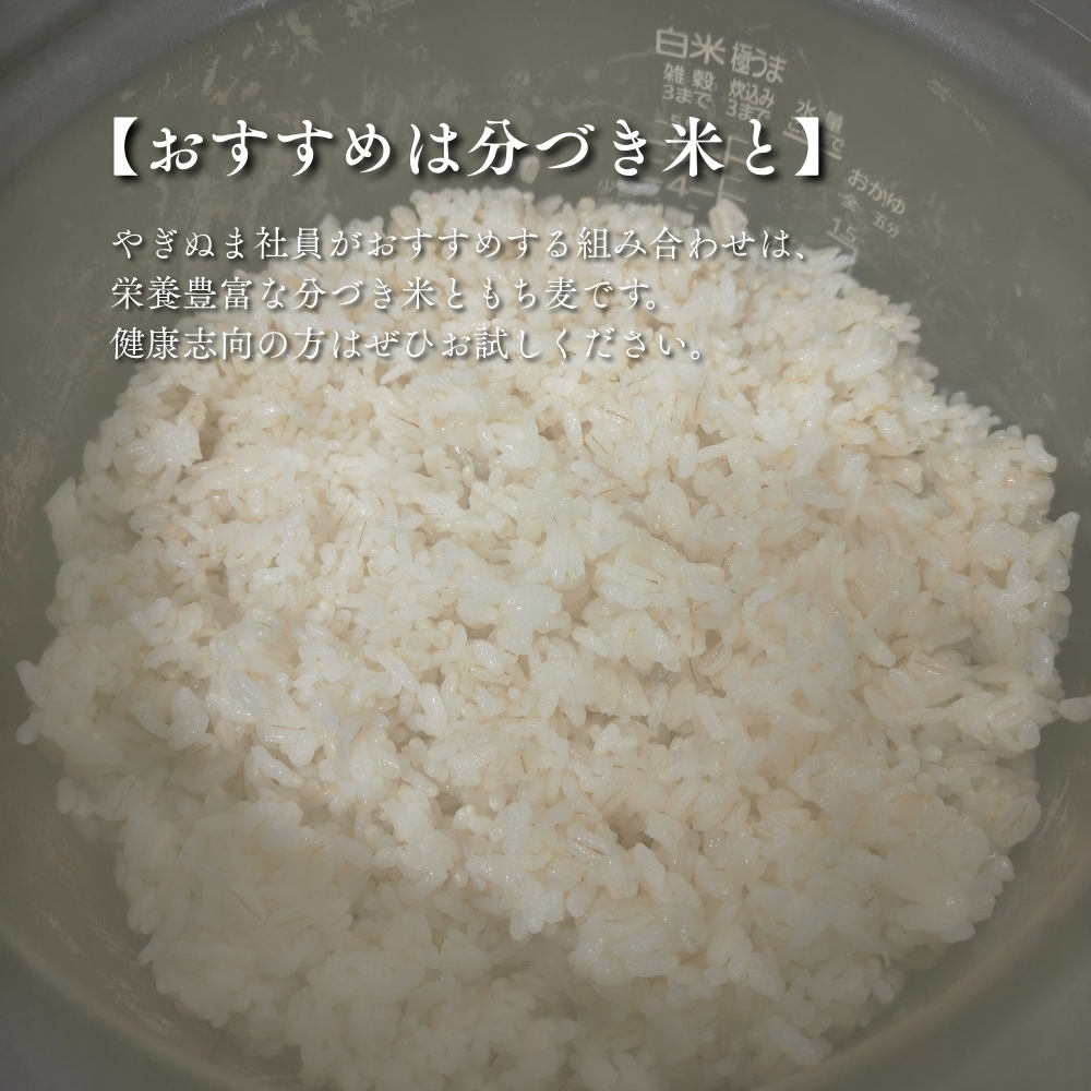 道産もち麦きらりもち
