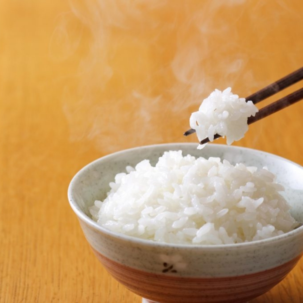 北海道産・北斗米きたくりん 5kg【令和7年産】