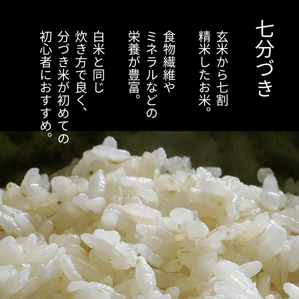 【七分づき】北海道産・北斗米ななつぼし 5kg【令和8年産】