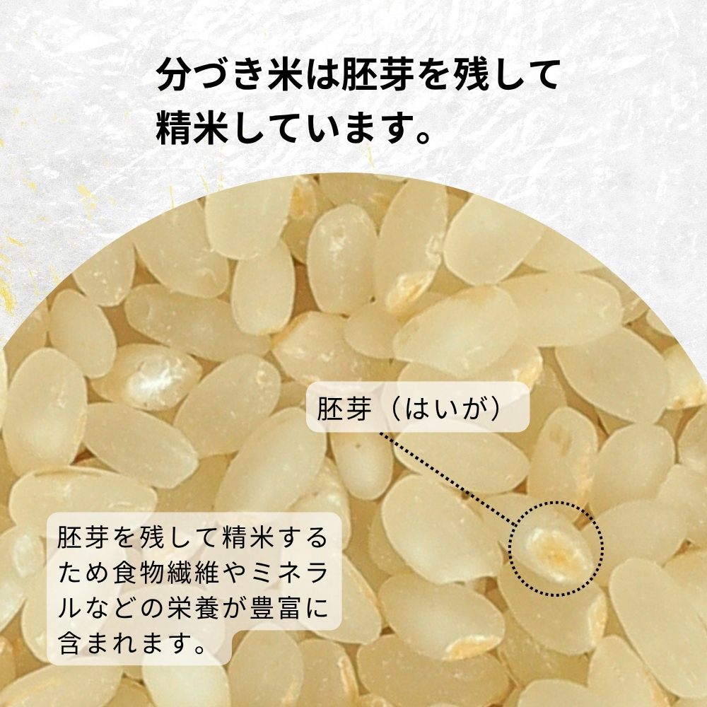 【三分づき】北海道産・北斗米ななつぼし 5kg【令和8年産】