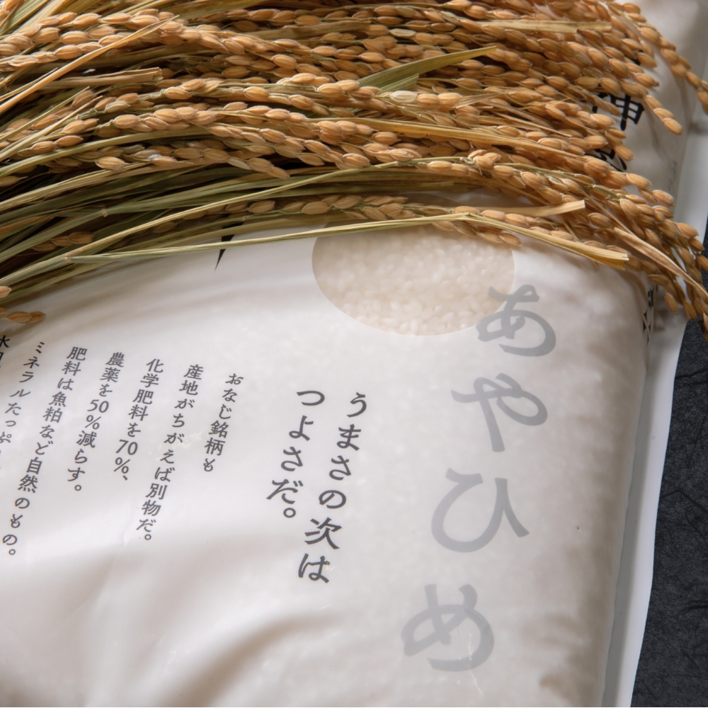 北海道産・北斗米あやひめ 5kg【令和7年産】