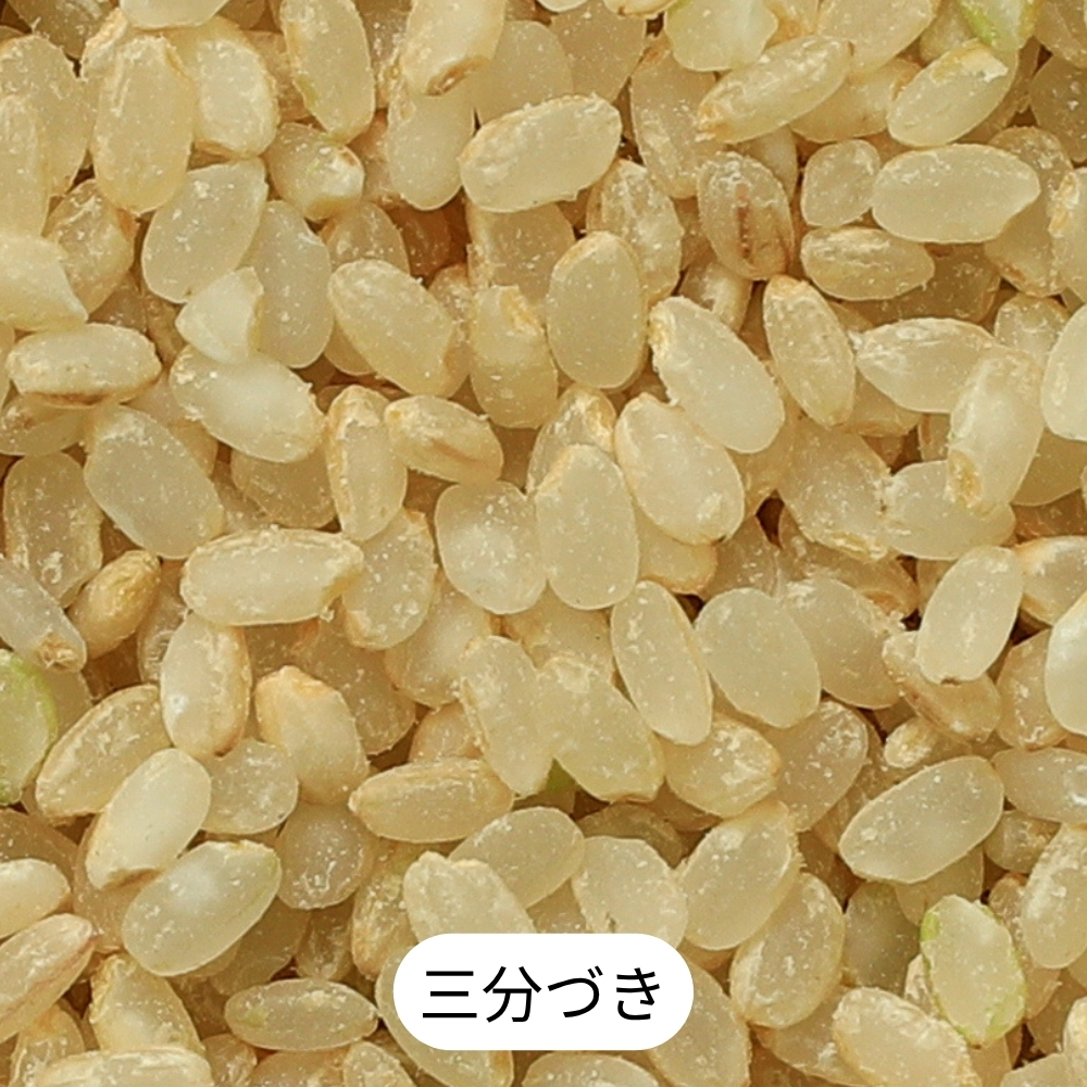 【三分づき】北海道産・北斗米ななつぼし 5kg【令和8年産】