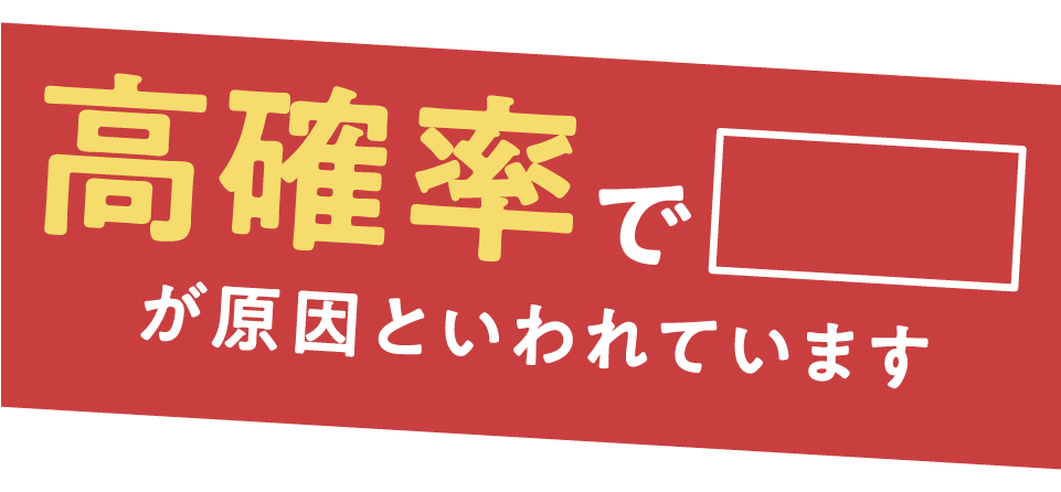 高確率でダニが原因といわれています