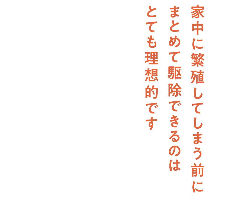 家中に繁殖してしまう前にまとめて駆除できるのは とても理想的です