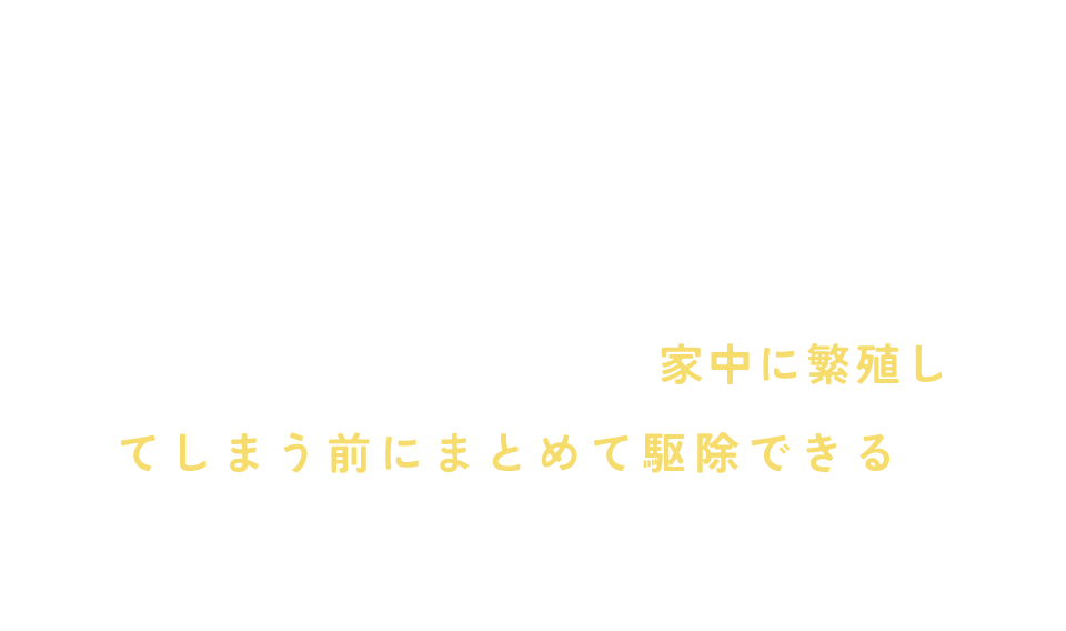 掃除機や天日干しなど、一見効果がありそうに見えるダニ対策は時間や手間がかかったりと大変なわりにダニが残ってしまうもの。肉眼ではほとんど見えないからこそ、余計に困ってしまいますよね。強力な爪でしがみついたり、凄まじいスピードで増殖したりなどダニはとても厄介なんです。 家族が安心して過ごせる住まいにするためにも、家中に繁殖してしまう前にまとめて駆除できるのは、とても理想的ですよね。