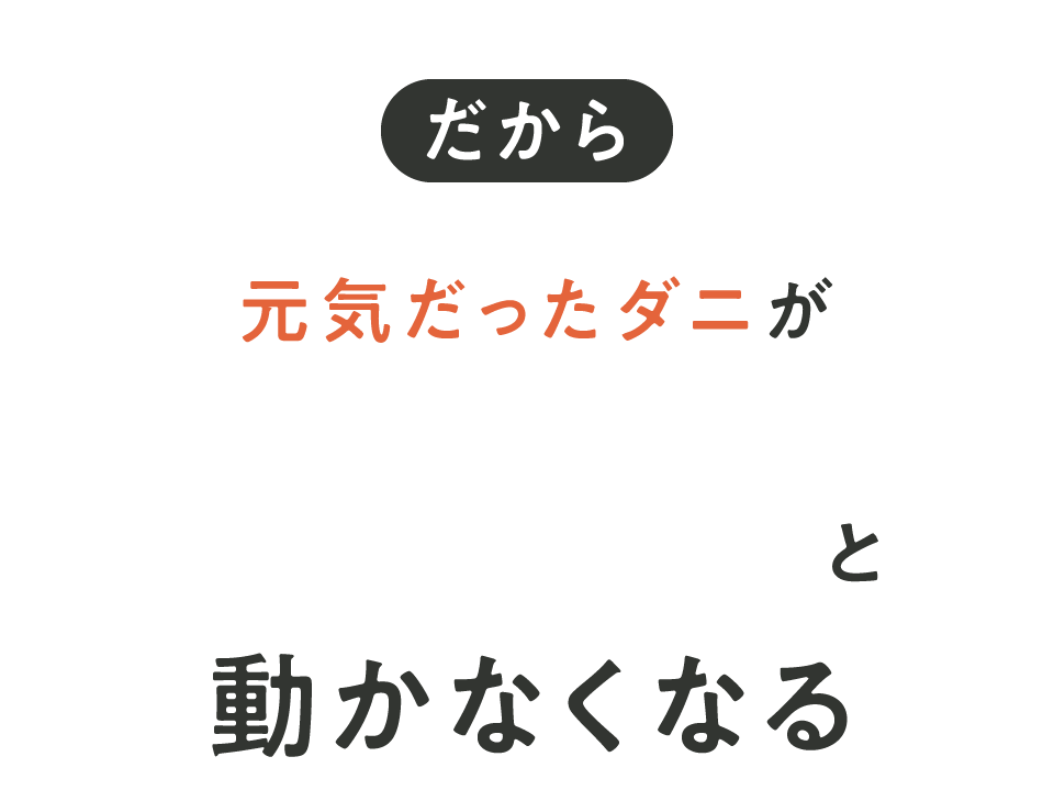 だから 元気だったダニがピタッ！と動かなくなる