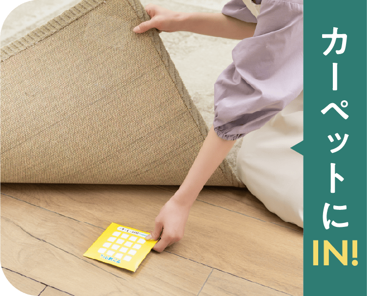 カーペットにIN!