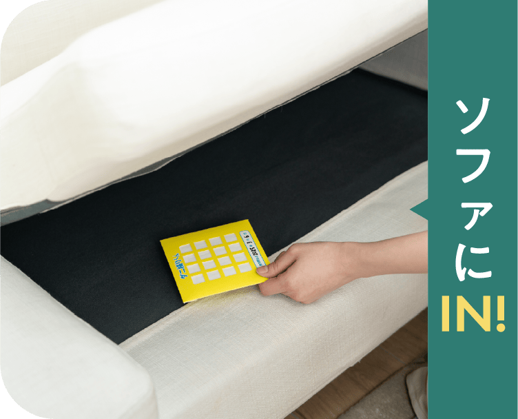 ソファにIN!