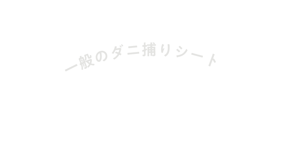 一般のダニ捕りシートと比べてもあんしん安全