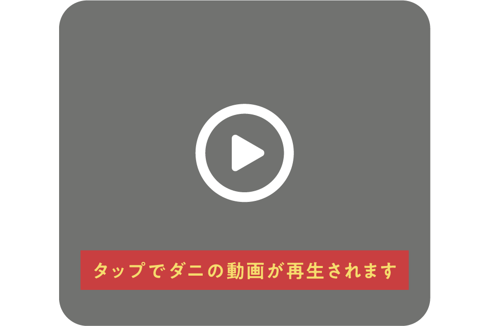 タップでダニの動画が再生されます