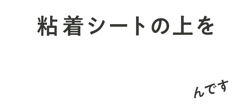 粘着シートの上を