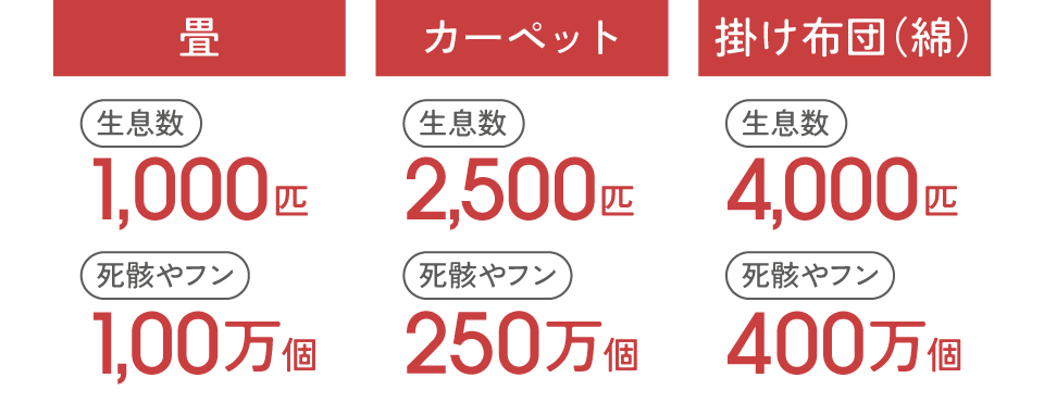 畳：生息数1,000匹 死骸やフン100万個／カーペット：生息数2,500匹 死骸やフン250万個／掛け布団（綿）：生息数400匹 死骸やフン400万個