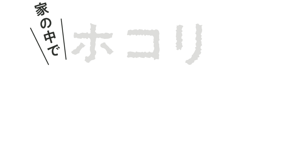 家の中でホコリがたまる場所には必ず生息!