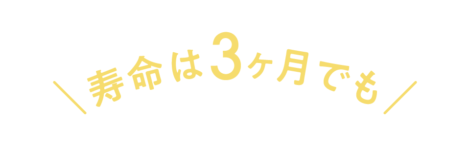 寿命は3ヶ月でも