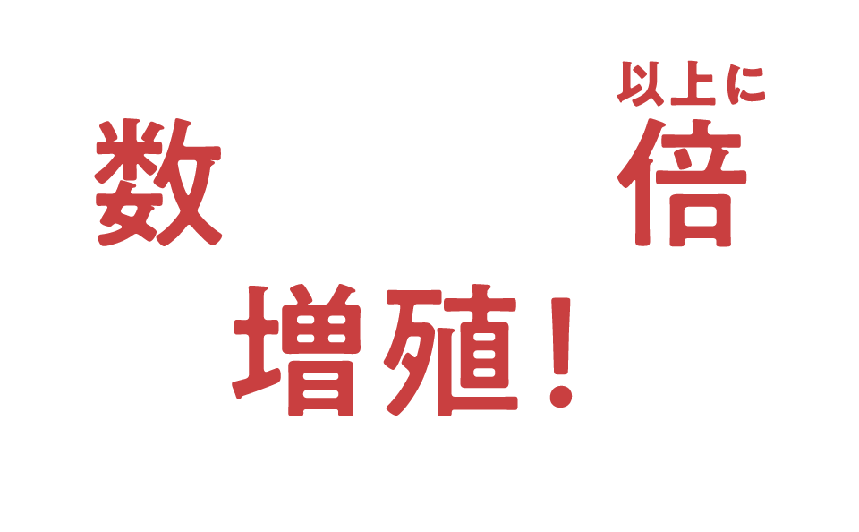 数100倍以上に増殖！