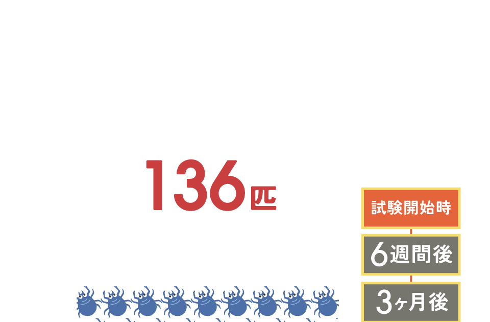 試験開始時156匹