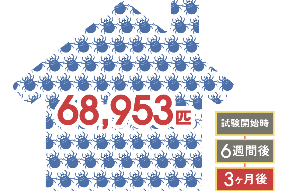 3ヶ月後79,269匹