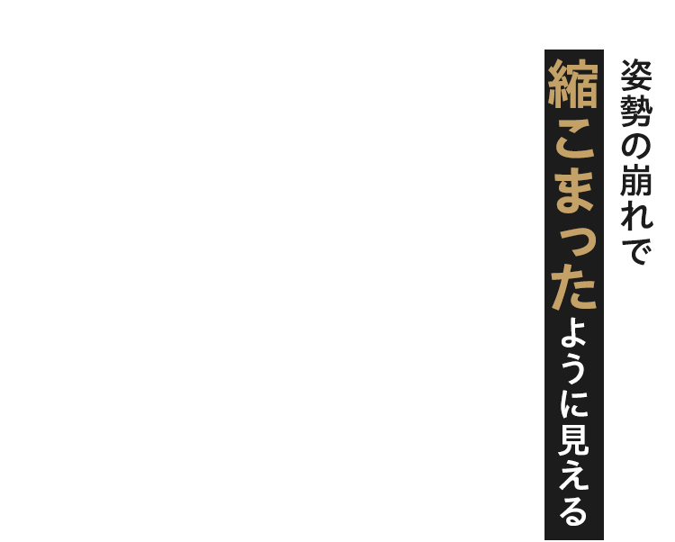 姿勢の崩れで縮こまったように見える