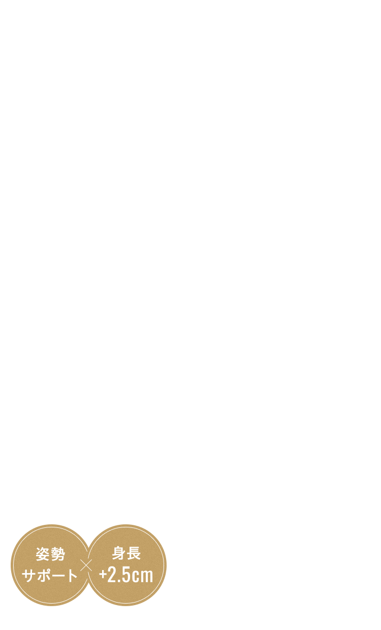 姿勢 サポートx身長 +2.5cm