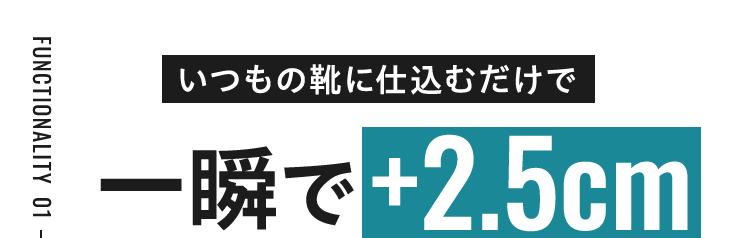 いつもの靴に仕込むだけで一瞬で+2.5cm