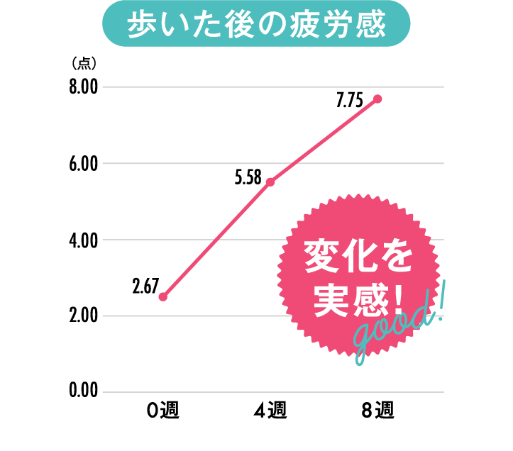 普段の靴に入れるだけでスッキリ美脚へ！
