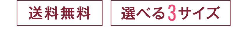 送料無料 選べる3サイズ