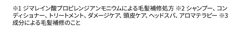 ※1 ジマレイン酸プロピレンジアンモニウムによる毛髪補修処方 ※2 シャンプー、コンディショナー、トリートメント、ダメージケア、頭皮ケア、ヘッドスパ、アロマテラピー ※3 成分による毛髪補修のこと