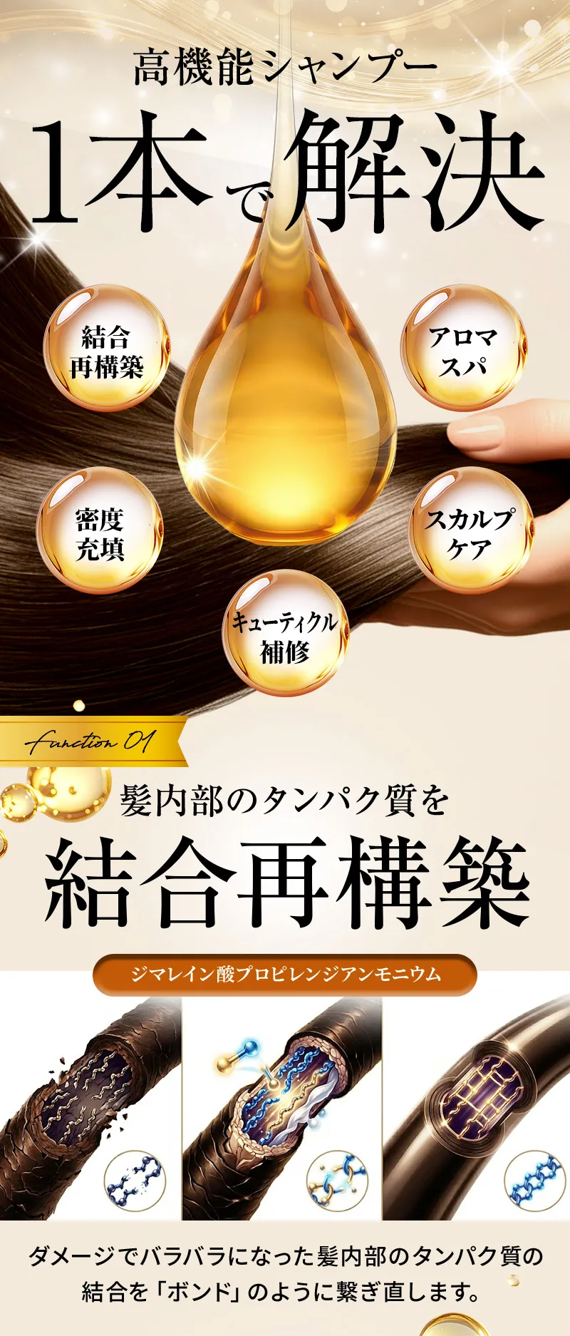 高機能シャンプー1本で解決！【5つの機能】結合再構築、密度充填、キューティクル補修、スカルプケア、アロマスパ　【機能①】髪内部のタンパク質を結合再構築。（ジマレイン酸プロピレンジアンモニウム）ダメージでバラバラになった髪内部のタンパク質の結合を「ボンド」のように繋ぎ直します。