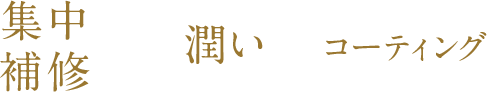 集中補修 潤い コーティング