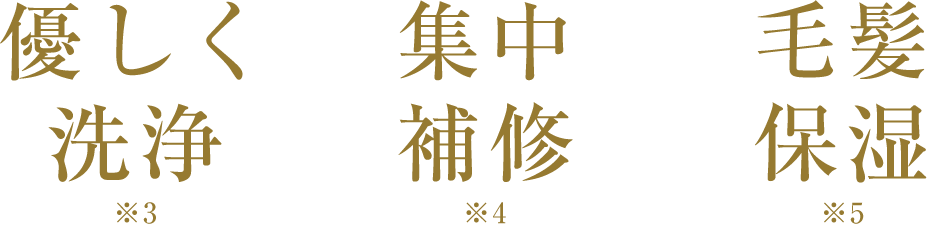 優しく洗浄 集中補修 毛髪保湿