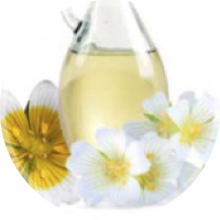 メドウフォームオイル