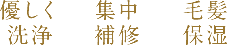 優しく洗浄 集中補修 毛髪保湿