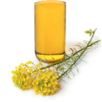 y-ドコサラクトン