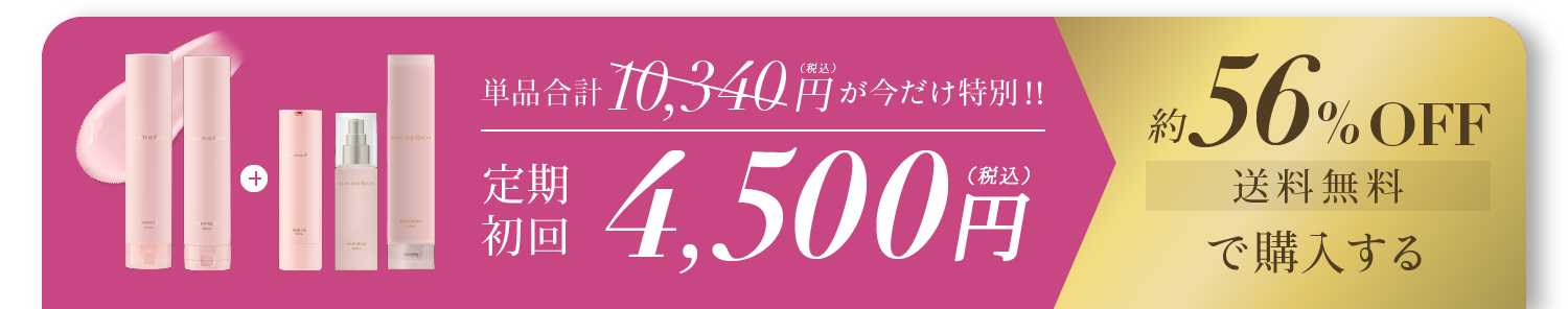 初回限定 50%OFF 4,500円