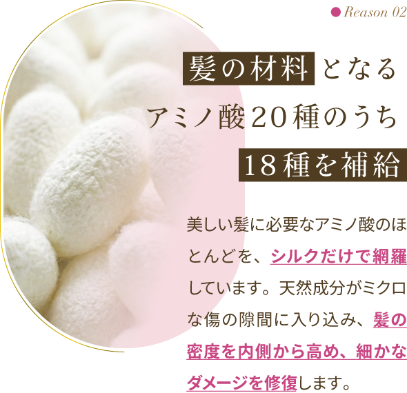 Reason 02：髪の材料となるアミノ酸20種のうち18種を補給