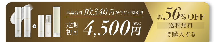 初回限定 50%OFF 4,500円