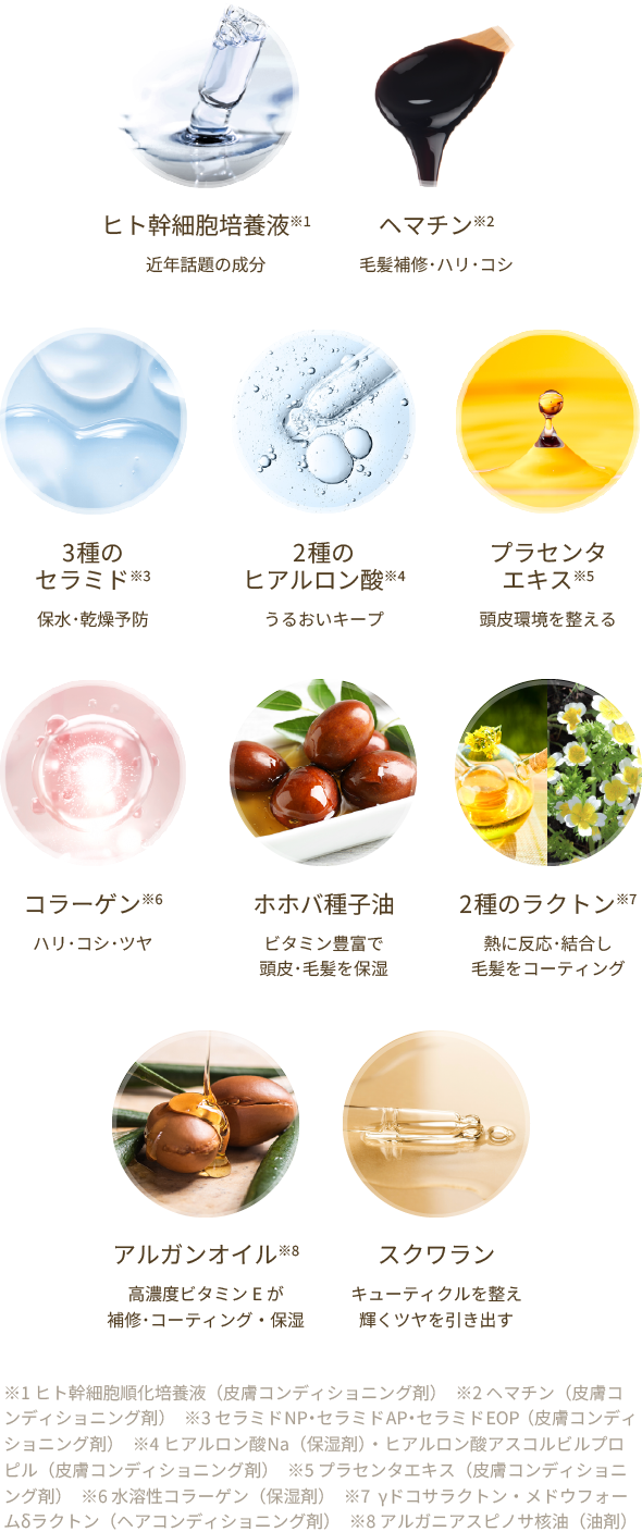 シャンプー・トリートメント