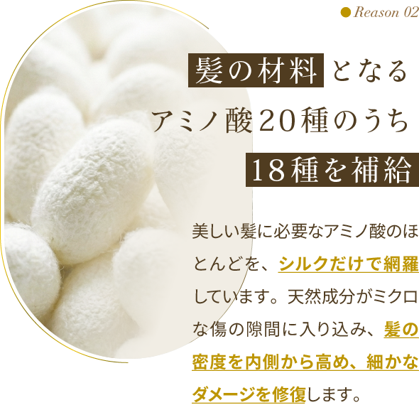 Reason 02：髪の材料となるアミノ酸20種のうち18種を補給