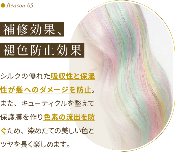 Reason 05：補修効果、褪色防止効果