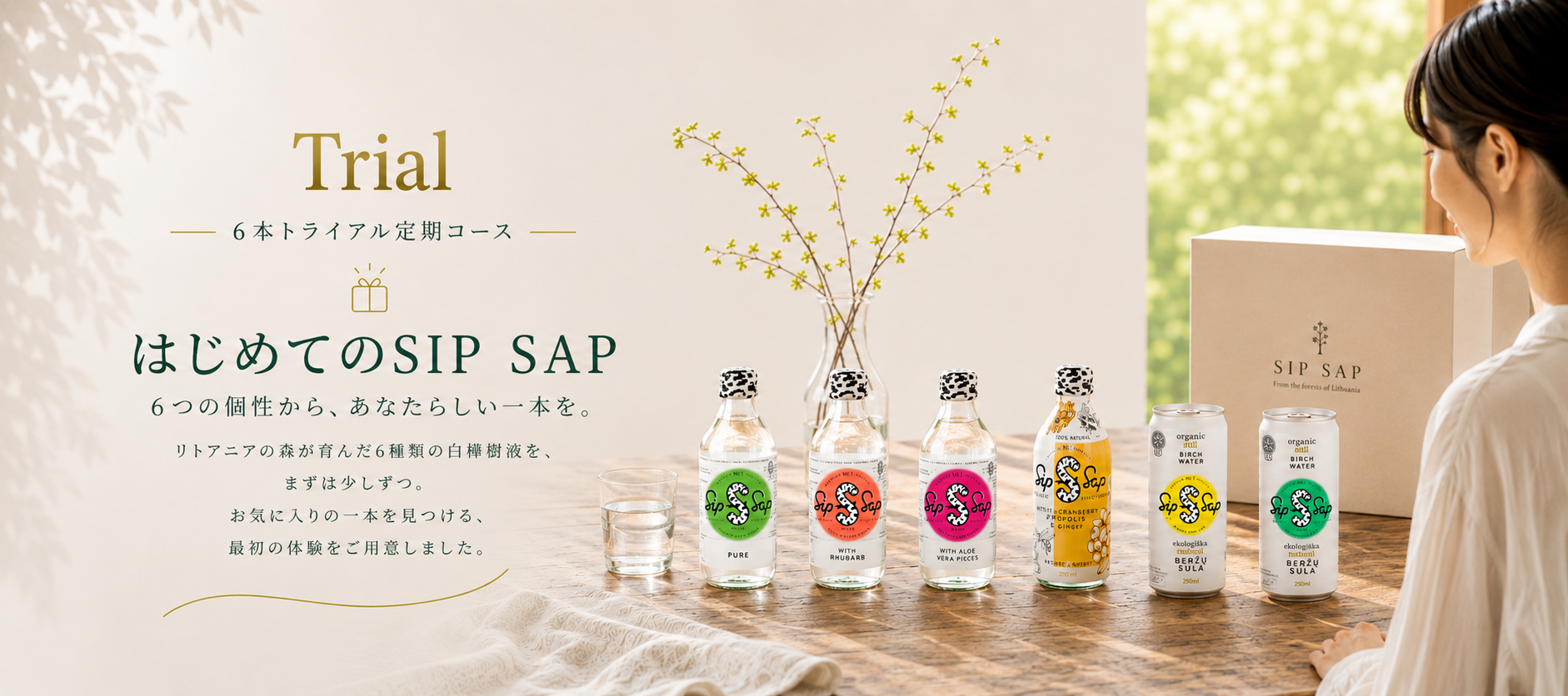 はじめてのSIP SAP
