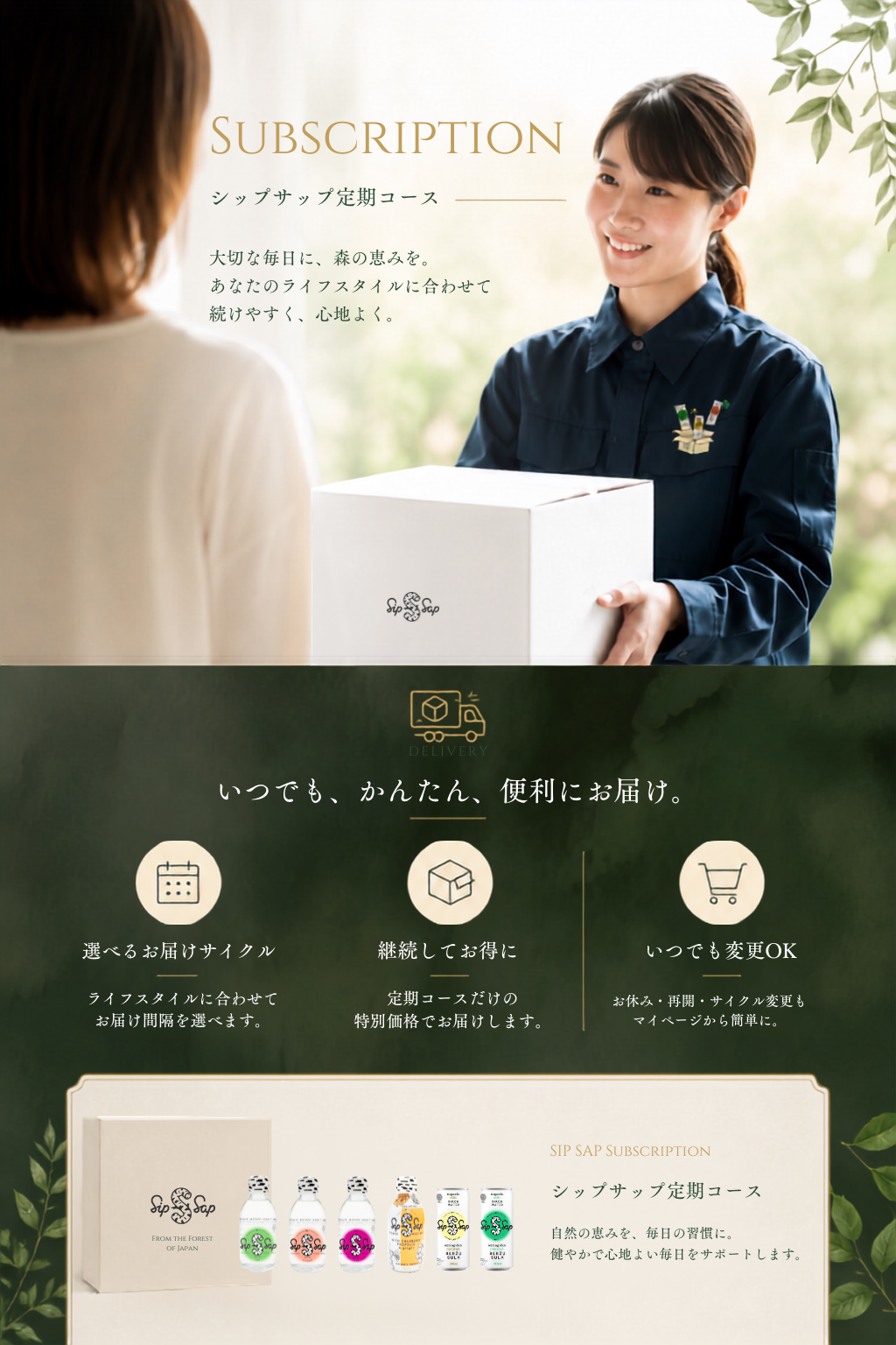 シップサップ定期コースについてはこちら