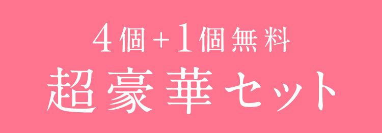 4個＋1個無料 超豪華セット
