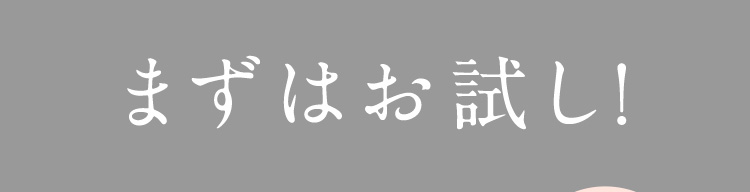 まずはお試し！