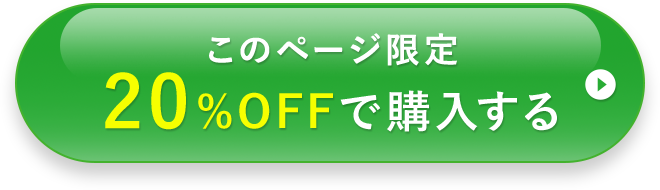 このページ限定20%OFFで購入する