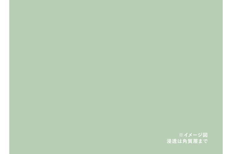 肌のイメージ