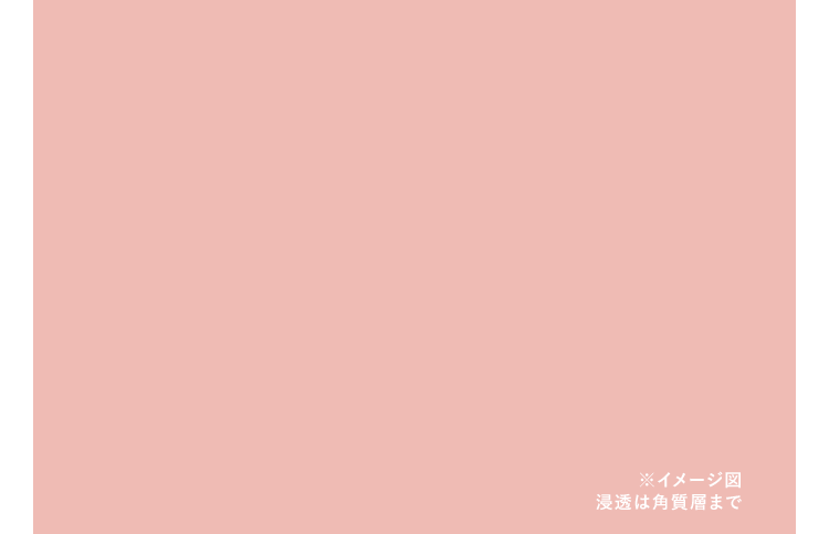 肌のイメージ