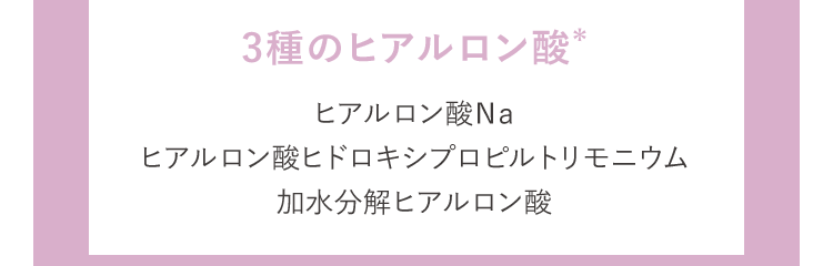 3種のヒアルロン酸* ヒアルロン酸Na ヒアルロン酸ヒドロキシプロピルトリモニウム 加水分解ヒアルロン酸