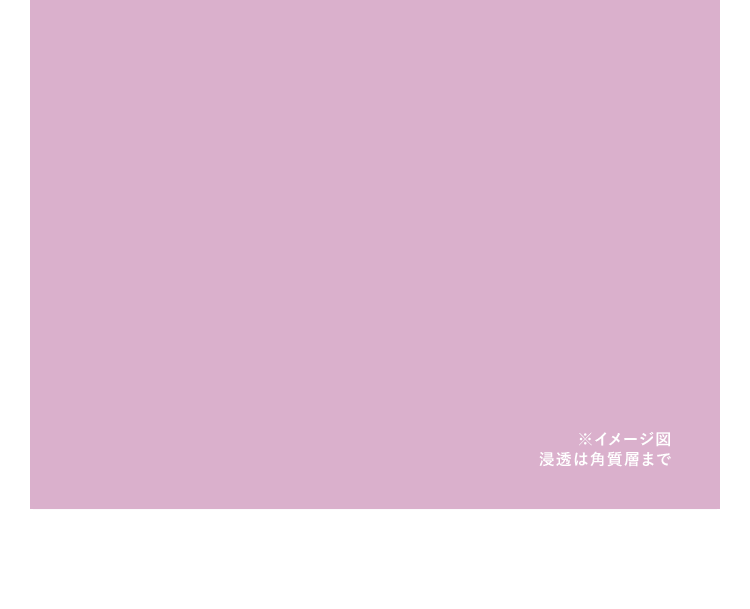※イメージ図 浸透は角質層まで
