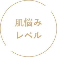 肌悩みレベル